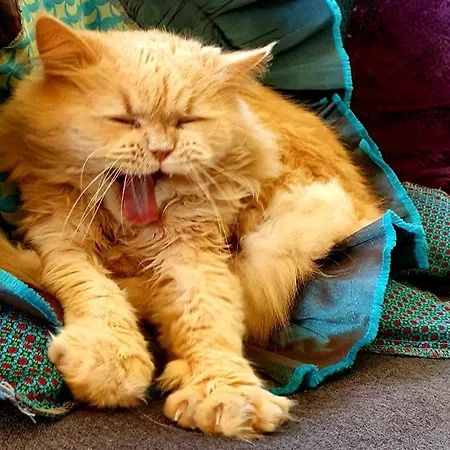 River View & Close To The - Em * Алмада